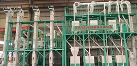 8臺鋼磨面粉成套加工設備